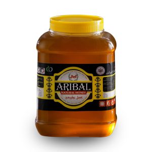 Aribal pet honey of 3 kilos